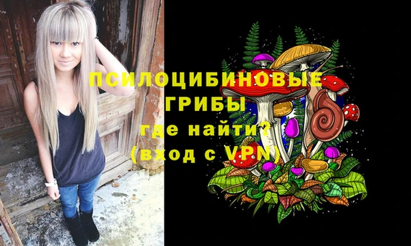 стафф Алексин