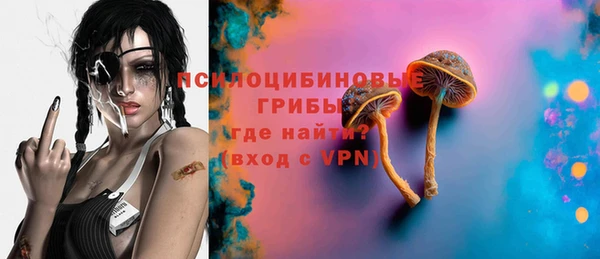 стафф Алексин