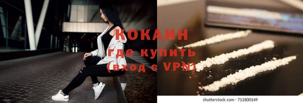 ECSTASY Алзамай