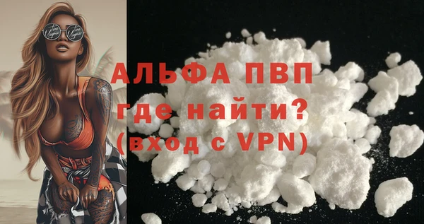 хмурый Нея