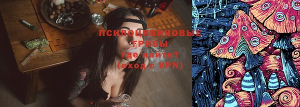 ECSTASY Алзамай
