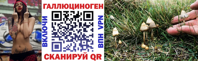 Псилоцибиновые грибы прущие грибы Перевоз